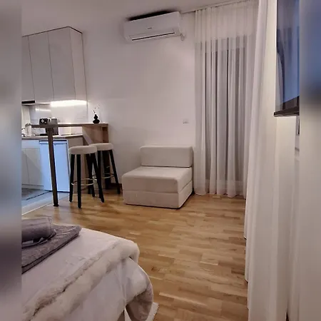 Apartment Aleksandra Vrnjacka Banja
