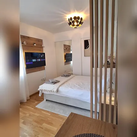 Apartment Aleksandra Vrnjacka Banja *