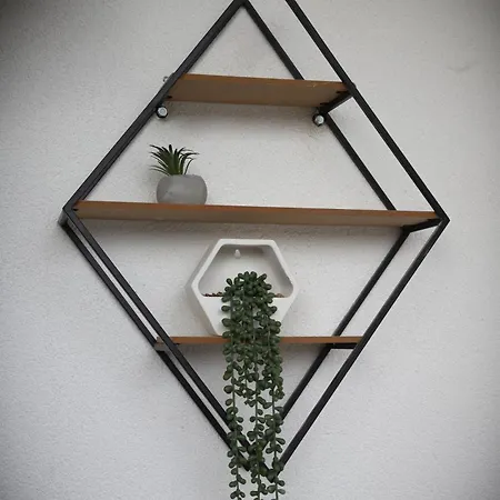 Aleksandra Vrnjacka Banja *