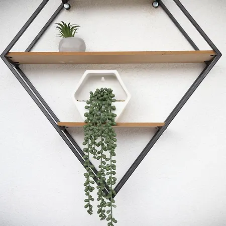 Aleksandra Vrnjacka Banja Vrnjci