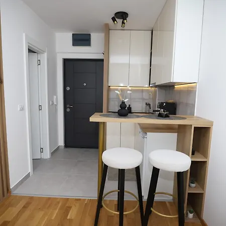 Apartment Aleksandra Vrnjacka Banja *