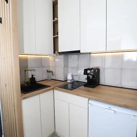 شقة Aleksandra Vrnjacka Banja