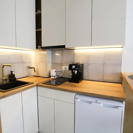 شقة Aleksandra Vrnjacka Banja