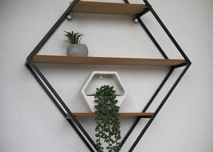 Aleksandra Vrnjacka Banja *