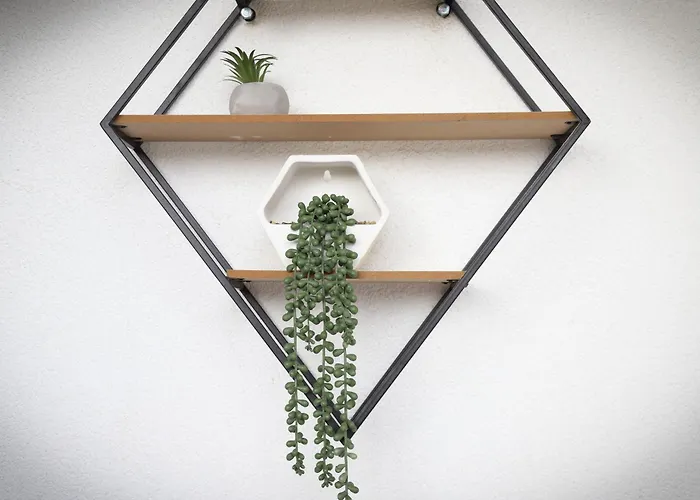 Aleksandra Vrnjacka Banja Vrnjci