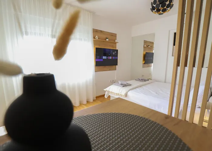 Aleksandra Vrnjacka Banja Apartman *