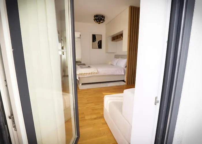 Aleksandra Vrnjacka Banja Apartman *