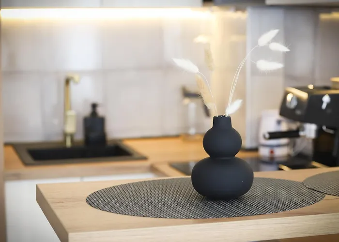 Aleksandra Vrnjacka Banja Apartman *